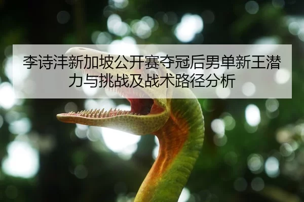 李诗沣新加坡公开赛夺冠后男单新王潜力与挑战及战术路径分析