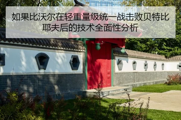 如果比沃尔在轻重量级统一战击败贝特比耶夫后的技术全面性分析
